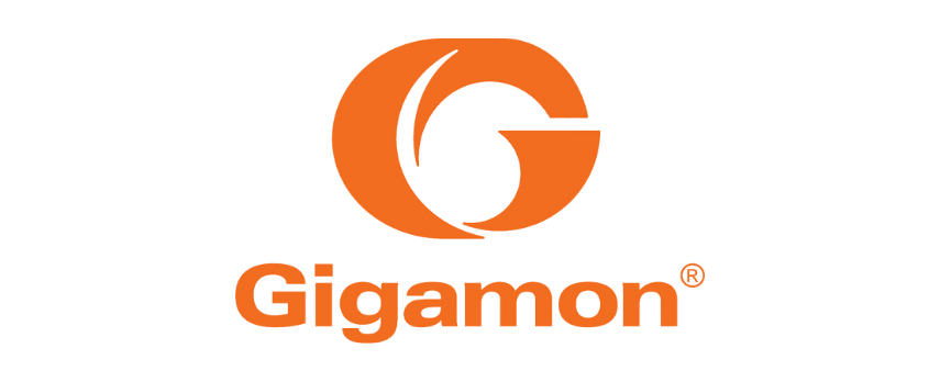 Gigamon (2)